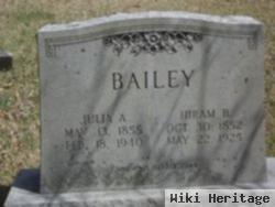 Julia Anne Horton Bailey