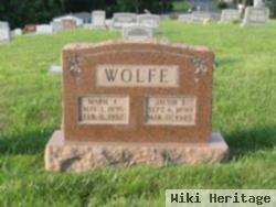 Jacob E Wolfe