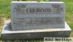 James J Ellwood