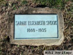 Sarah Elizabeth Titus Snook