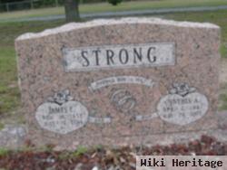 Cynthia Ann Lutes Strong