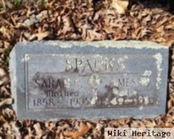 Sarah C. Sparks