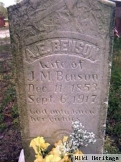 A. E. Benson