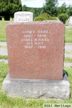 Harry Haas