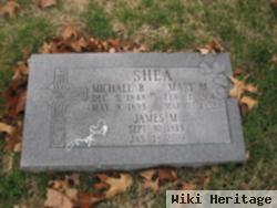 Mary M Kraus Shea