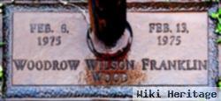 Woodrow Wilson Franklin Wood