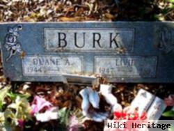 Duane A Burk