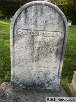 Cornelia A. Barnes Carpenter