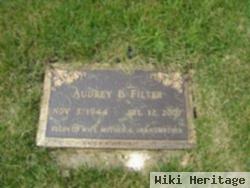 Audrey B Filter