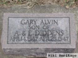 Gary Alvin Diddens