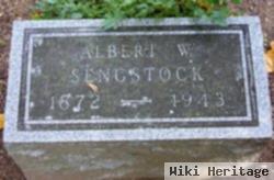 Albert Sengstock