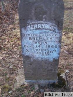 Perry J. Brumley