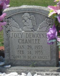 Joey Dewayne Chamlee