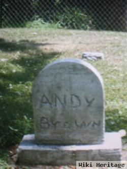 Andy Brown