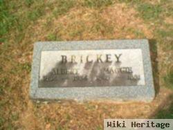 Albert L Brickey