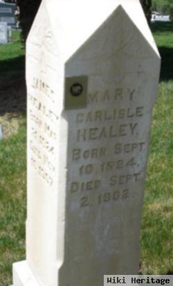 Mary Carlisle Healey