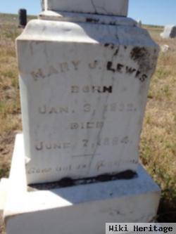 Mary J Lewis