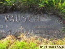 Michael N Rausch