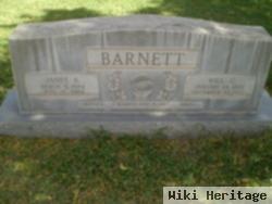 Janet A. Barnett