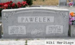 Leon N. Pawelek