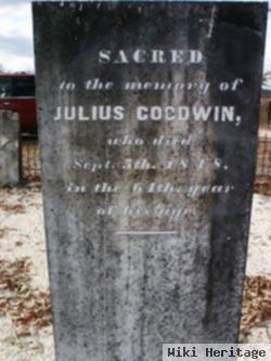 Julius Goodwin