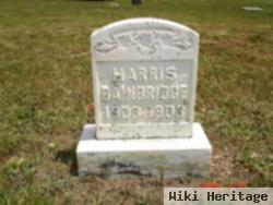 Harris Bainbridge