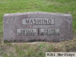 Amelia M Braatz Mashino