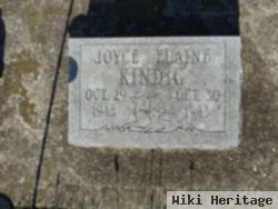 Elaine Joyce Kindig