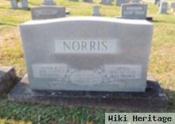 Arnis Norris