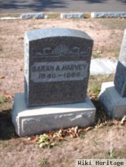 Sarah A Harvey