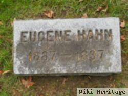 Eugene Hahn