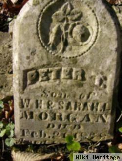 Peter Morgan