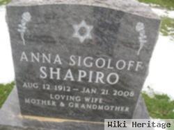 Anna S Shapiro