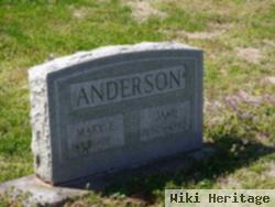 Mary E. Anderson