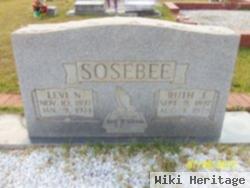 Ruth Johnston Sosebee