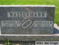 Theodore C Wassermann