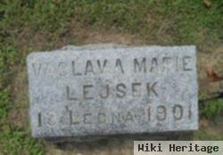 Vaclav A. Lejsek