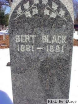 Bert Black