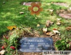 Hugh E. Freeman