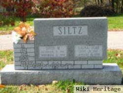 David Martin Siltz