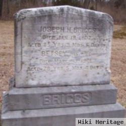 Joseph H Briggs