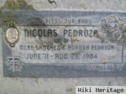 Nicolas Pedroza