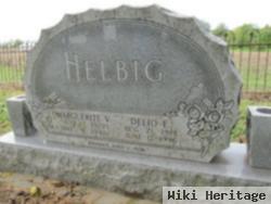 Delio E. Helbig