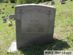 Andy Pavanta