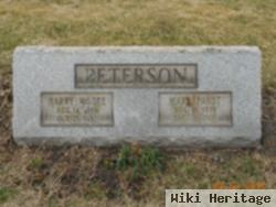 Rev Harry Moore Peterson