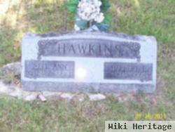 Herbert E. Hawkins