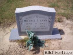 Michael T Gann