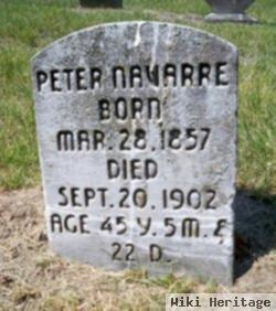 Peter Roman Navarre