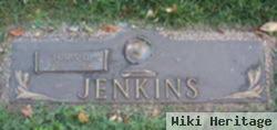 Louis D. Jenkins