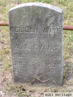 Delilah Anne Evans